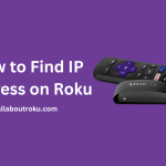How to Find IP Address on Roku