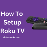 How to Setup Roku